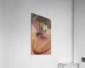 Through the Artists Eye   Acrylic Print