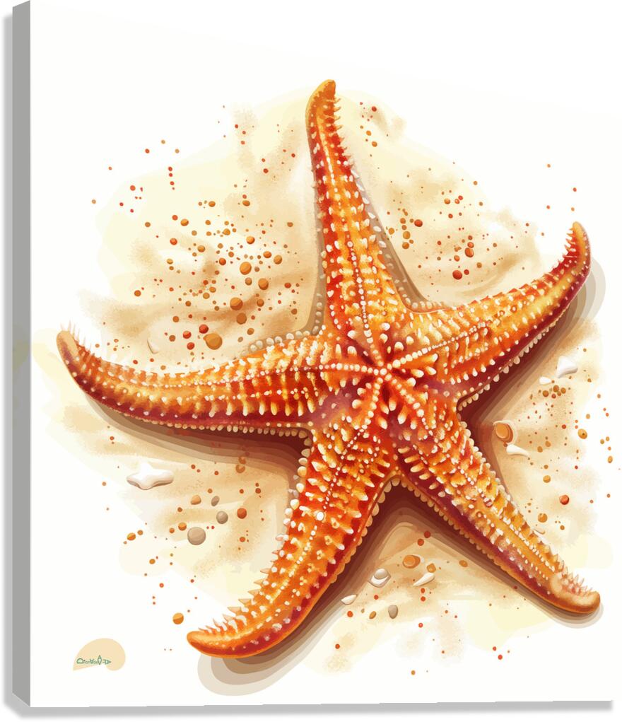 Starfish Solo Canvas Print