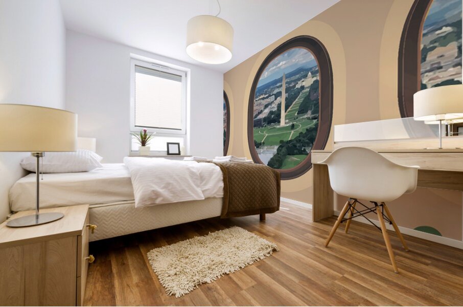 Birdseye - DC - Canada Mural print