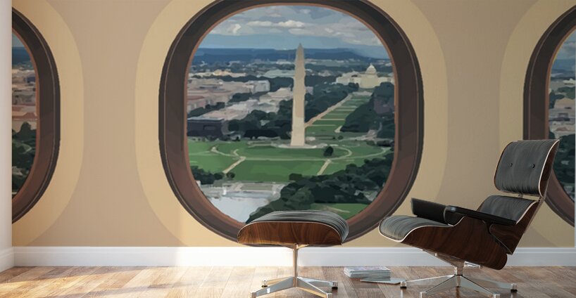 Birdseye - DC - Canada Wall Murals