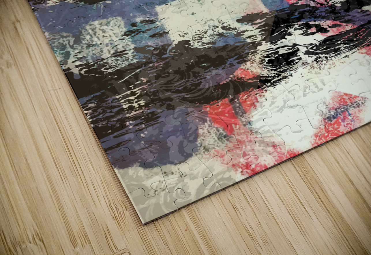 Colliding Thoughts  Diana de Avila Puzzle