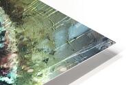 Dreams of Glory HD Metal print