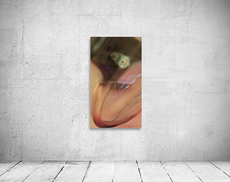 Through the Artists Eye  by Diana de Avila